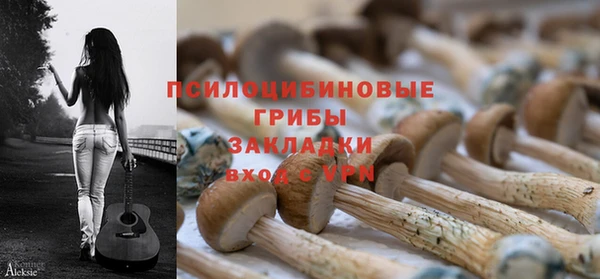 тгк Богородск