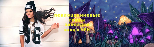 тгк Богородск