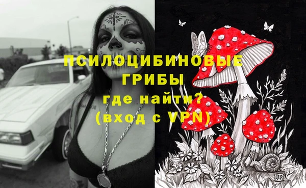 прущая мука Богородицк