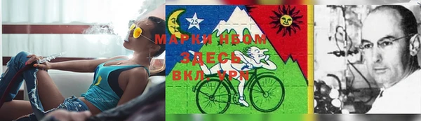 бошки Богданович