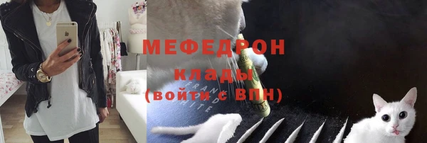 бошки Богданович