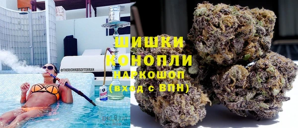 тгк Богородск