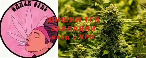 бошки Богданович