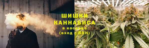 тгк Богородск