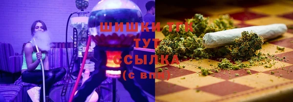 бошки Богданович