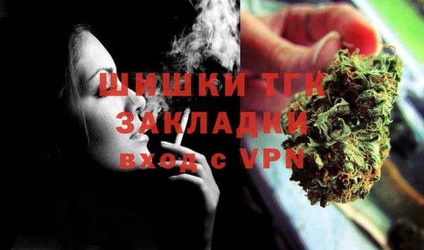 бошки Богданович