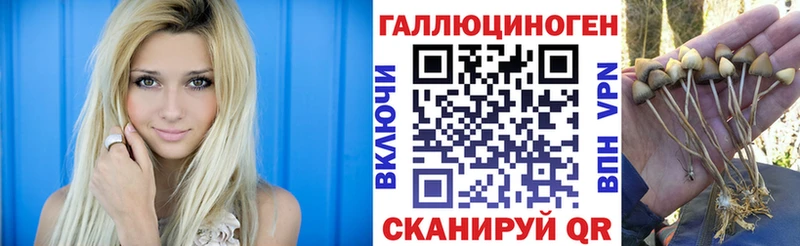Галлюциногенные грибы прущие грибы  МЕГА маркетплейс  Нерехта 