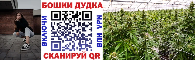 Канабис ГИДРОПОН  наркотики  Нерехта 